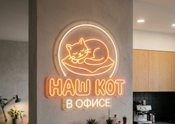 Наш кот в офисе